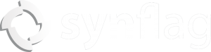 Logo synflag Web Engineering